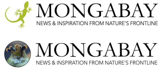 Mongabay Indonesia